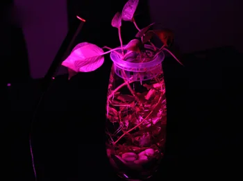 14 светодиода 27 светодиоди led лампи за отглеждане на растения с захранван от USB Стая Цвете зеленчуци, Растения В Саксии Растеж Led Светлини За Оранжерийни Растения светлини Изображение 5