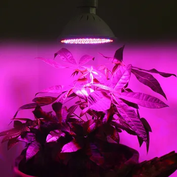 200 Led Растения Растат на Светлина е Лампа Ac захранващ Кабел Адаптер за употреба За Отглеждане на Цветя В Закрито Оранжерии с Разсад хидро система Изображение 5